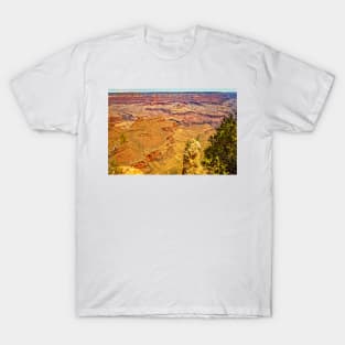 Rim Trail Viewpoint Grand Canyon T-Shirt